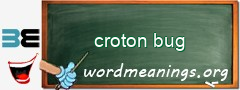 WordMeaning blackboard for croton bug